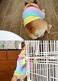 Khemn Regenbogen Strickpullover Hundepullover - Niedliche Hundekleidung für Französische Bulldogge/Englische Bulldogge/Bullterrier/Mops (L)
