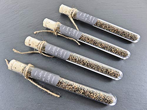 Preisvergleich Produktbild Liroca 20x Gastgeschenke Reagenzglas gefüllt mit Blumensamen