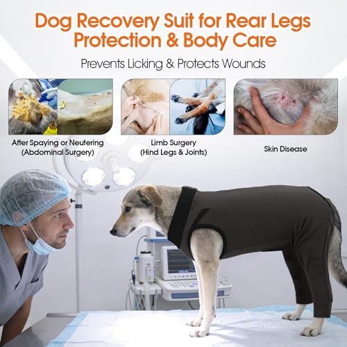 Image of Lelepet Dog Recovery Suit for Rear Legs, Surgery Onesie, Cone Alternative
