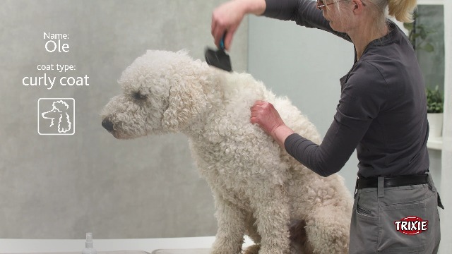 Stainless Steel Strip Glarks 10pcs L X W X T 5.9 X 0.98 X 0.004'' Rectangular Brass Shim Brass Sheet