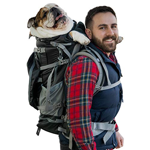 K9 Sport Sack | Rover 2 Dog Carrier Backpack for Small and Medium Pets | Front Facing Adjustable Dog Backpack Carrier | Fully Ventilated | Veterinarian Approved (Large, Rover 2 - Black)