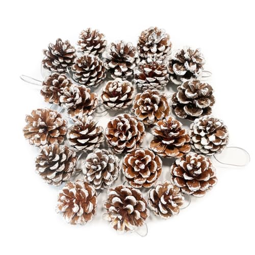 Kesxaus Tannenzapfen Weihnachten Tannenzapfen Kunstschnee Tannenzapfen...