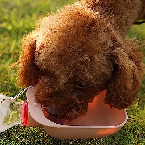 Bebedouro portátil para cães | Suprimentos ecológicos para estimação Dispensadores água - Dispenságu