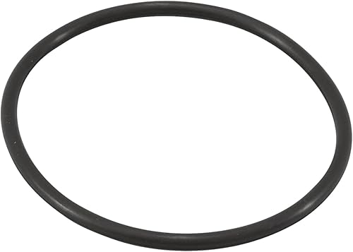 R0694100 Clorador O-Ring para Zodiac Jandy Pro Series TruClear R0693900