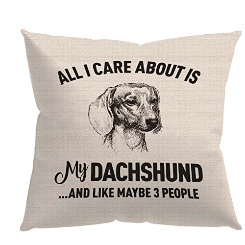All I Care About Is My Dachshund Cute Sausage Dog Throw Pillow Cover,18'' X 18'' Inch Pillow Case, Gifts For Dog Lovers Dachshund Mom Women Girls,Bedroom Living Room Girls Room Home Office Decor #TOP15