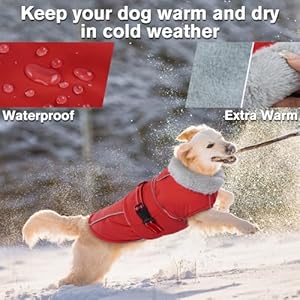 Lelepet Warm Dog Coat Reflective Dog Fleece Vest Waterproof Dog Jacket Windproof Dog Winter Coat Dog Cold Weather Coats with Adjustable Buckle Small Dog Coat Dog Snowsuit Dog Coat for Small Dogs S
