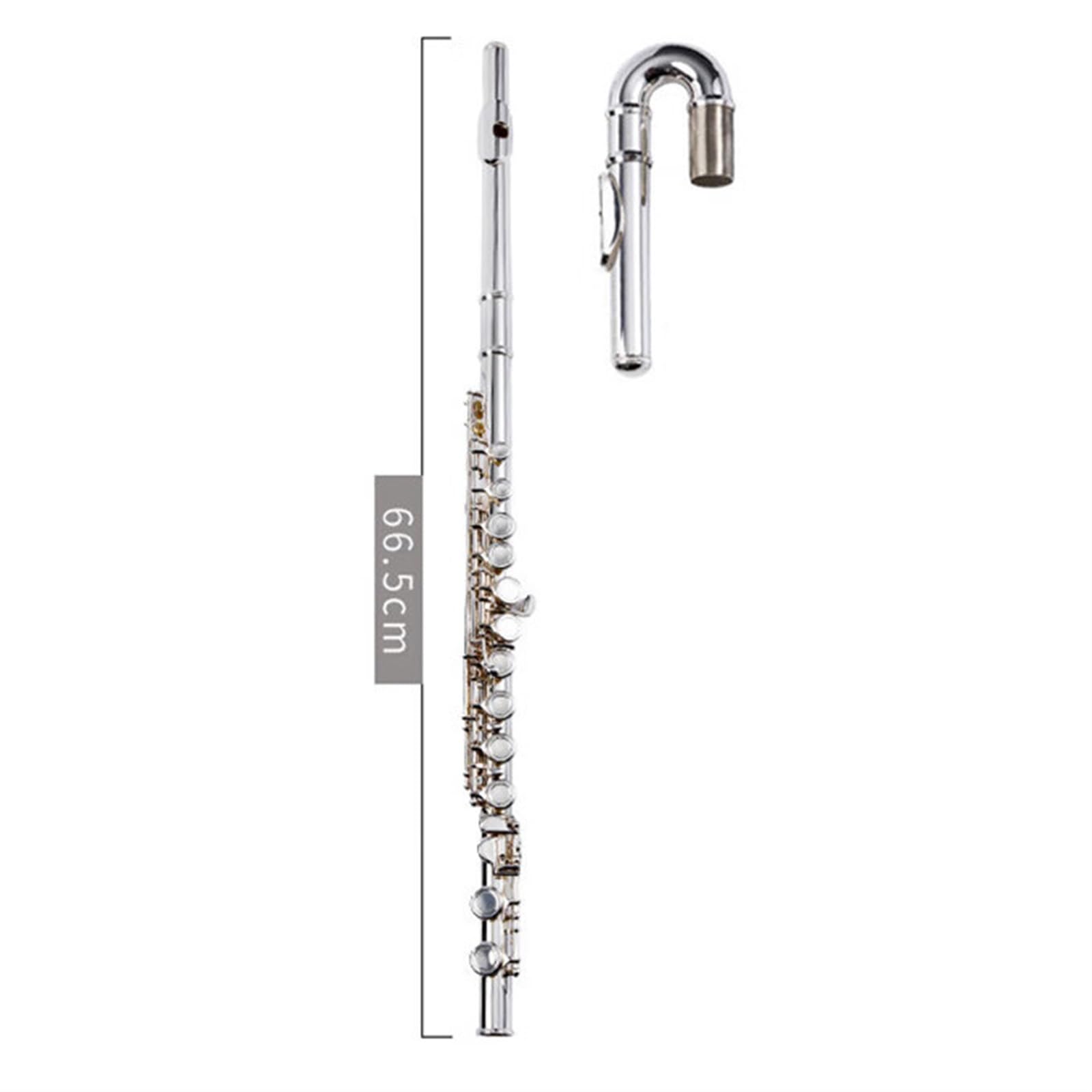 Flauto 16 Fori Aperti E Chiusi Argentati C-key E-key Curvo Tubo Curvo Doppia Testa(Closed)