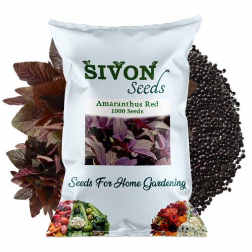 Image of SIVON Amaranthus Red (Lal saag, Lal Chaulai) (950+ Seeds) Vegetable Seeds for Home Garden, Organic & Hybrid, Perfect for Home Gardening, Planting For Pots and Patio