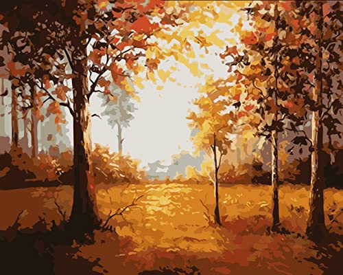 Peinture au diamant 5D anti-stress kit mosaïque forêt d'automne