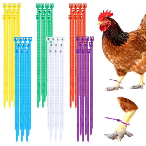 600 Pcs Chicken Leg Bands Adjustable Chicken Leg Rings Identification Band Colorful Chick Tags for Legs Poultry Foot Rings Legs Bands for Poultry Identification Chickens Duck Turkey (10-30mm)