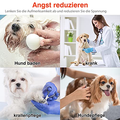 Morfone Lick Mat Dog, 2 pezzi Lick Mat Dog con 1