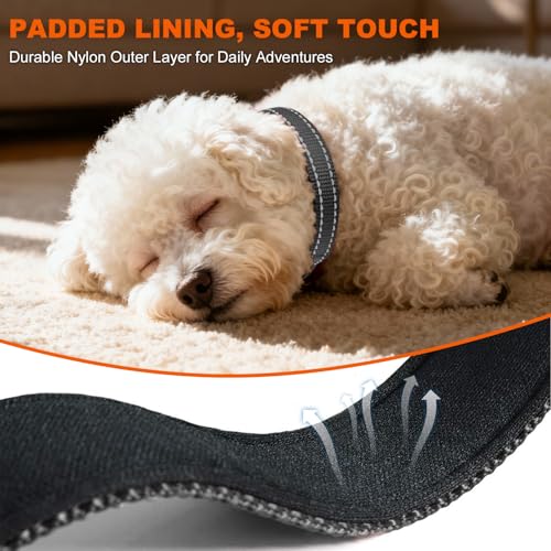 Image of Taglory Reflective Dog Collar for Puppies, Gentle and Safe for Night Walks