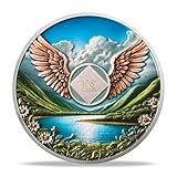NA Sobriety Coin - NA Medallions with Wings and Scenic Sobriety Chips NA Coins - Ideal Narcotics Anonymous Gifts for Men ＆ Women Celebrating Recovery and Living Clean (9 Year)