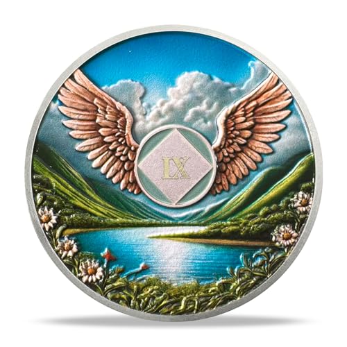NA Sobriety Coin - NA Medallions with Wings and Scenic Sobriety Chips NA Coins - Ideal Narcotics Anonymous Gifts for Men ＆ Women Celebrating Recovery and Living Clean (9 Year)