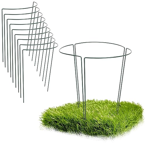 Hortensien Stützen Die 15 besten Produkte im Vergleich www.hausund