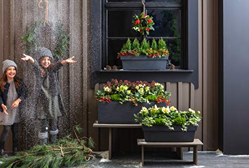 Dehner Blumenkasten Mailand, ca. 60 x 20 x 19.5 cm, Kunststoff, anthrazit, Grau