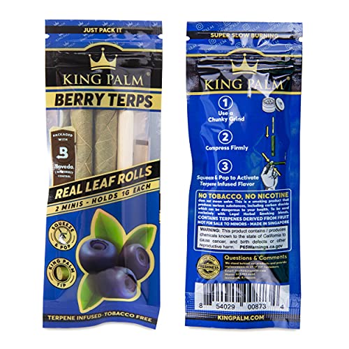 King Palm Flavors Mini Size Cones - 1 Pack, 2 Rolls Terpene Infused - Squeeze & Pop Pre Rolls - Organic Flavored Pre Rolled Cones - King Palm Flavors Cones (Combo Pack - 1 Of Each Flavor) #TOP6