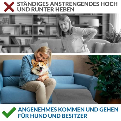Nuraya Hundetreppe 3 Stufen, 40 cm hoch, Hochdichter Schwamm Haustiertreppe Hundetreppe für kleine Hunde, rutschfest Tragbar Hunderampe Katzentreppe mit Waschbar Plüschbezug für Sofa Betten