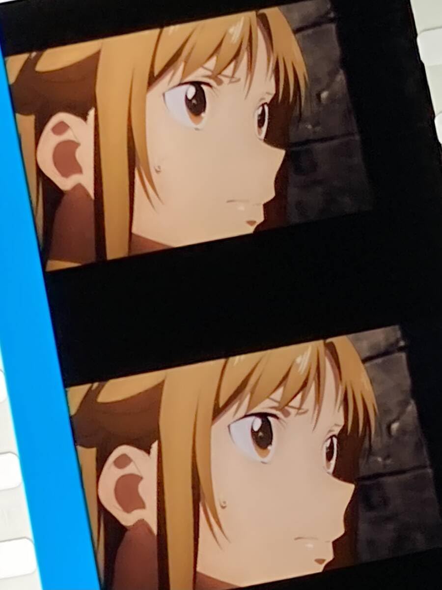 ソードアート・オンライン SAO 特典 コマフィルム アスナ アルゴ 水着