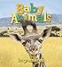 Baby Animals In Grasslands