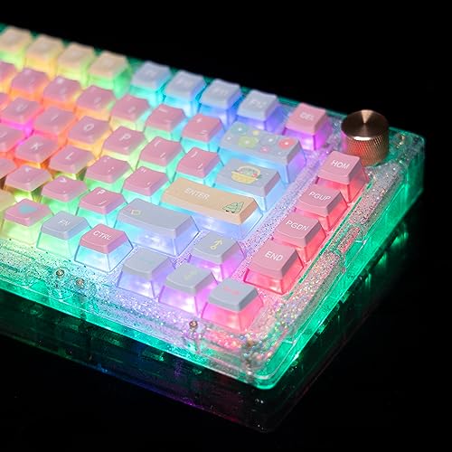 GK GAMAKAY 138 Keys Rainbow Keycaps Side Transparent, OEM Profile PBT PC Five-Sided Thermal Sublimation Keycap for LK67 TK75 /87/98/104/108 Layout Mechanical Gaming Keyboard (Rainbow Theme)