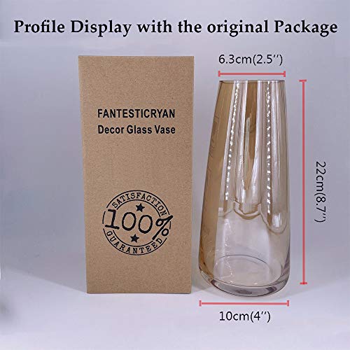 Fantesticryan Modern Glass Vase Irised Crystal Clear Glass Vase For Home Office Decor (Crystal Amber) #TOP6