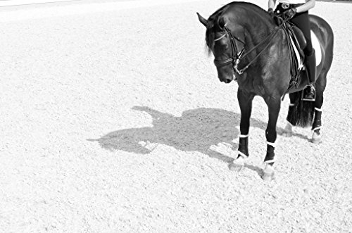 Image of Dressage Sport Boots Dressage Sport Boot, Color: Black, Size: S (DSBSB)