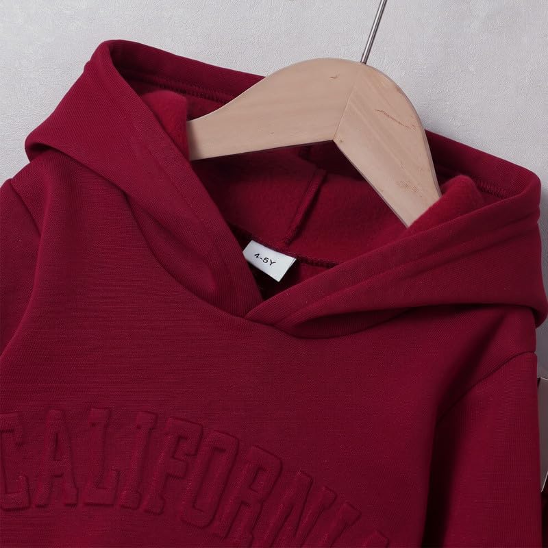 Boys Fleece Hoodie Sweatpants Set 2 Piece Fall&Winter Outfit