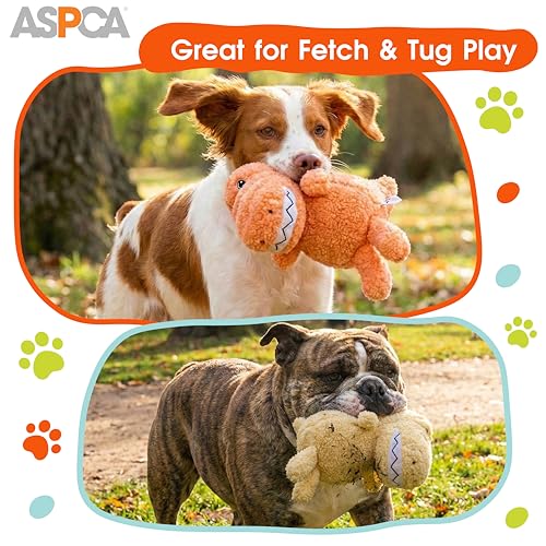 Juguete de Peluche ASPCA Dino y T-Rex para Perros miniatura 3