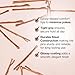 Kitsch Brown Bobby Pins - 1.87 Inches | Hair Accessories for Kids, Girls and Women | Bobby Pin Stylist Must Haves, Makeup | Ideal Gifts for Women - 45 pcs