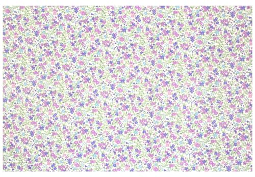 miwaki `}bg z q ̎q wZ w Vv O^Ot `[t p[v ԕ  PU 1 L