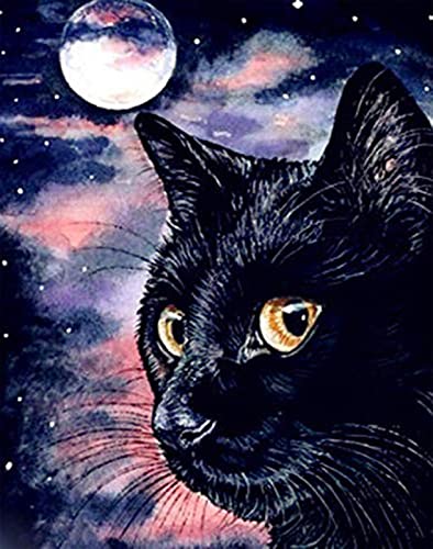Broderie Point de Croix Kit Chat Noir 11CT Estampé Canevas Imprimé 40x50