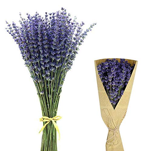 Chytaii Lavendel-Blumenstrauß aus Papier, getrockneter Lavendel, für Heimdekoration, Handwerk, Hochzeit Cover