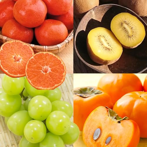 [定期便][定期便全4回]さぬき市 フルーツ定期便 (瀬戸ジャイアンツ さぬきゴールド 富有柿 小原紅早生みかん)[旬 人気 果物 くだもの マスカット キウイ 柿 みかん 香川県 ]