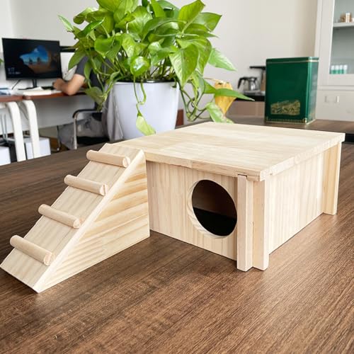 Cabane pour hamster avec rampe d'escalade pour cage de souris et gerbille - 4