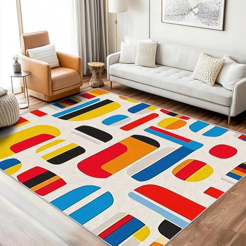 Tapis lavable en machine pour salon et bureau grand format