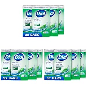 Dial Antibacterial Bar Soap, Refresh & Renew, Mountain Fresh, 4 oz, 32 Bars (Pack of 3)