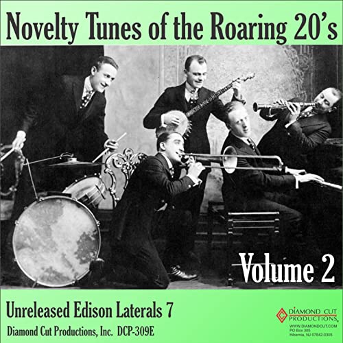 Novelty Tunes of the Roaring 20s, Vol. 2 VARIOUS ARTISTS