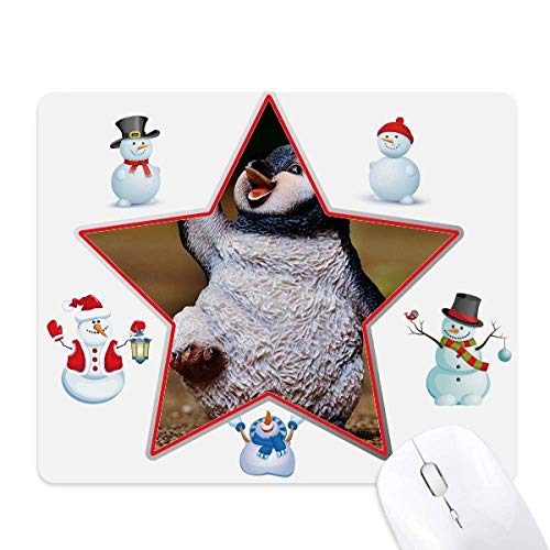 Tapis de souris pingouin créature antarctique idée cadeau mignon et poétique