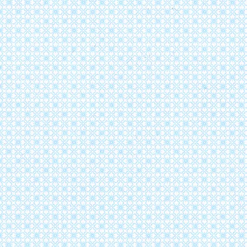 Amazon | 2L判 厚紙：両面ライトブルー地模様 2L判サイズプリンター