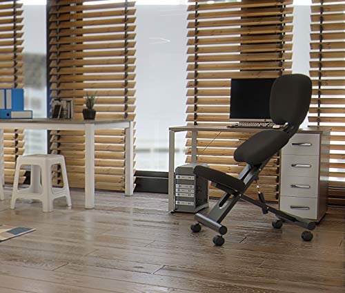 cinius Silla ergonómica Profesional Color Negro con Respaldo