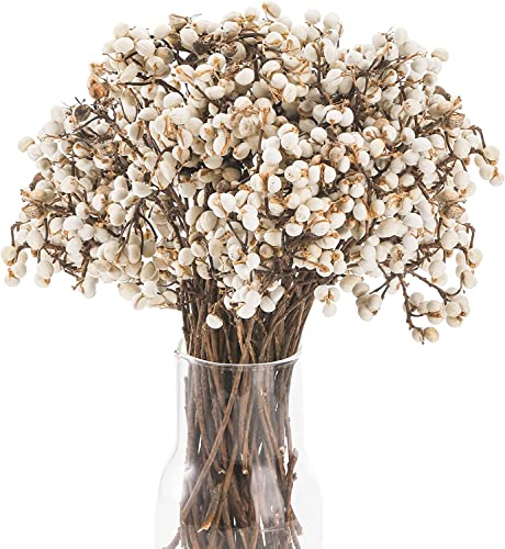 YOUEON 250G Tallow Berries Dried, Holly Tallow Berries, Dried Plants Floral Decor, Natural Berry Stems Bouquet for Home, Office, Wedding, Party, DIY, Craft, Props, Farmhouse Style