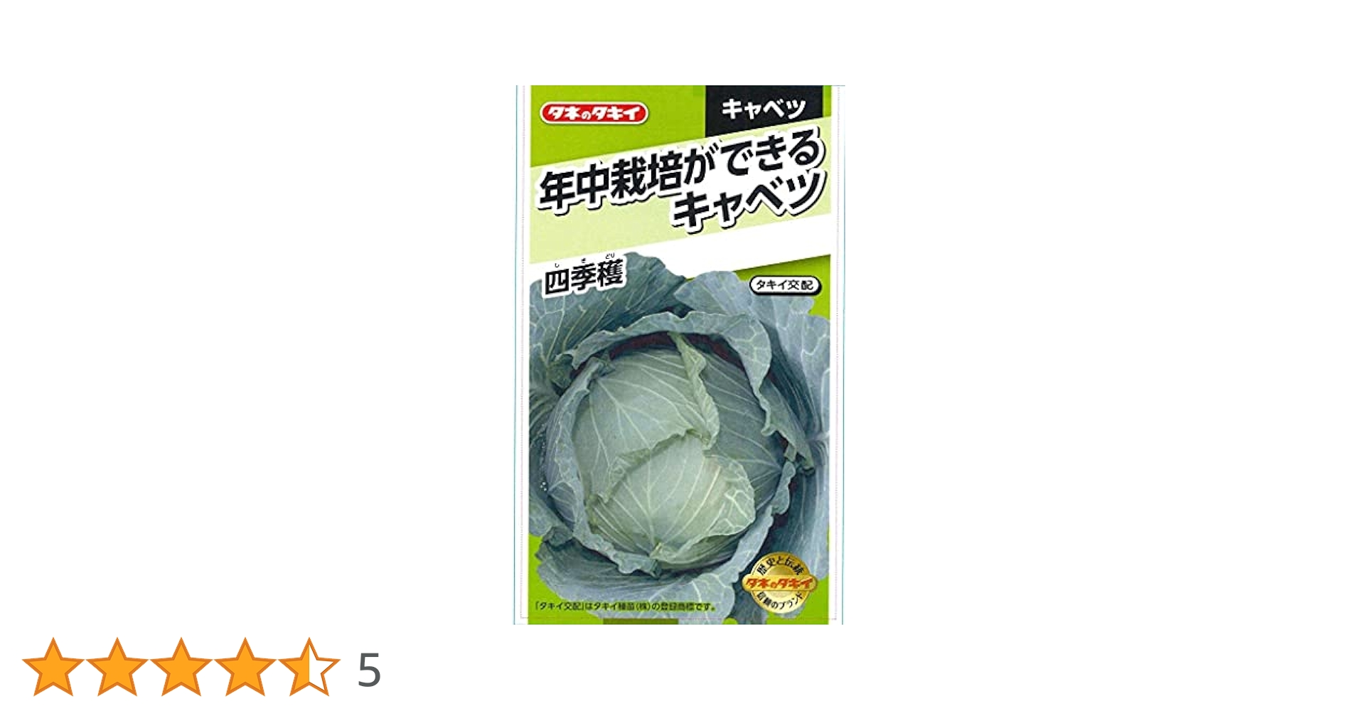 4年もの   ヤツデ  大きく立派になりました   自家栽培    大安売りげき 4年もの ヤツデ 大きく立派になりました 自家栽培 大安売りげき 4年