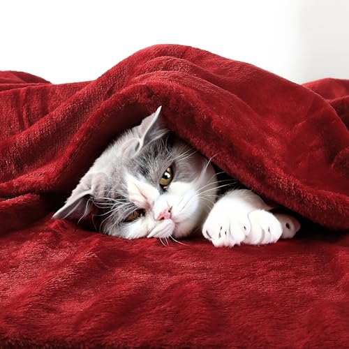 EHC Fleece Blanket Sofa Throw, Cozy Blanket Soft Fluffy Throws for sofa Large Bed and Couch Double Wine, 150x200cm - Image 2
