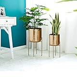 Zoom IMG-1 aflcio supporto per fiori in Zoom IMG-1 aflcio supporto per fiori in