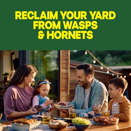 Image of Raid Wasp & Hornet Killer Spray, Bug Killer, Wasp and Hornet Spray Kills the Entire Nest, 14 Oz, 2 Count