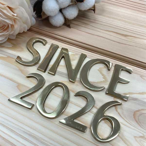 真鍮　ティンシャ　直径8.5㌢✖️厚み5㍉ Amazon.co.jp: SINCE2026セット 真鍮 ゴールド 45mm 大文字 真鍮
