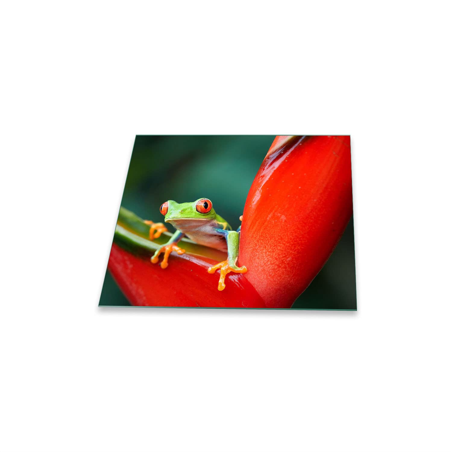 Placa para Cubrir fogones, vitrocerámica, 1 Pieza, 60 x 52, diseño de Rana, Color Verde, Placa de cocción, Cristal, inducción