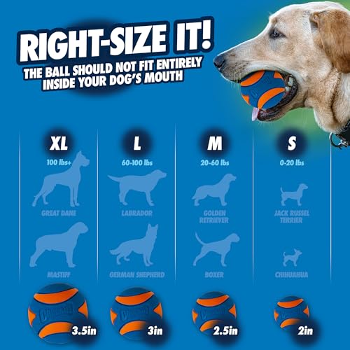 Chuckit! Ultra Quietschball Hundespielzeug, langlebig, hohe Sprungkraft, schwimmend, Gummi, quietschender Hundeball, Launcher kompatibles Spielzeug für Hunde, 3 Stück, Medium