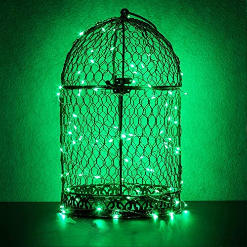 Image of RUICHEN Fairy Lights USB Plug Power 66Ft 200 LED Silver Wire Starry String Lights with ON /Off Switch for Bedroom Indoor Outdoor Decorative(Green)